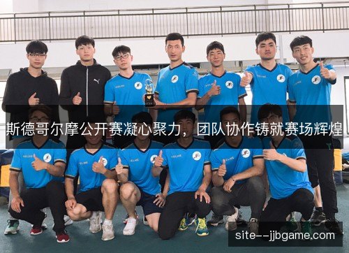 斯德哥尔摩公开赛凝心聚力，团队协作铸就赛场辉煌